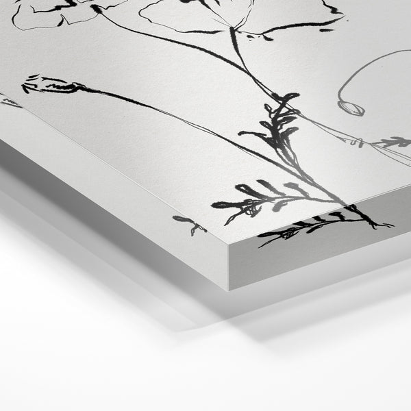 Pavots minimalistes - Line art botanique noir et blanc — Verre acrylique