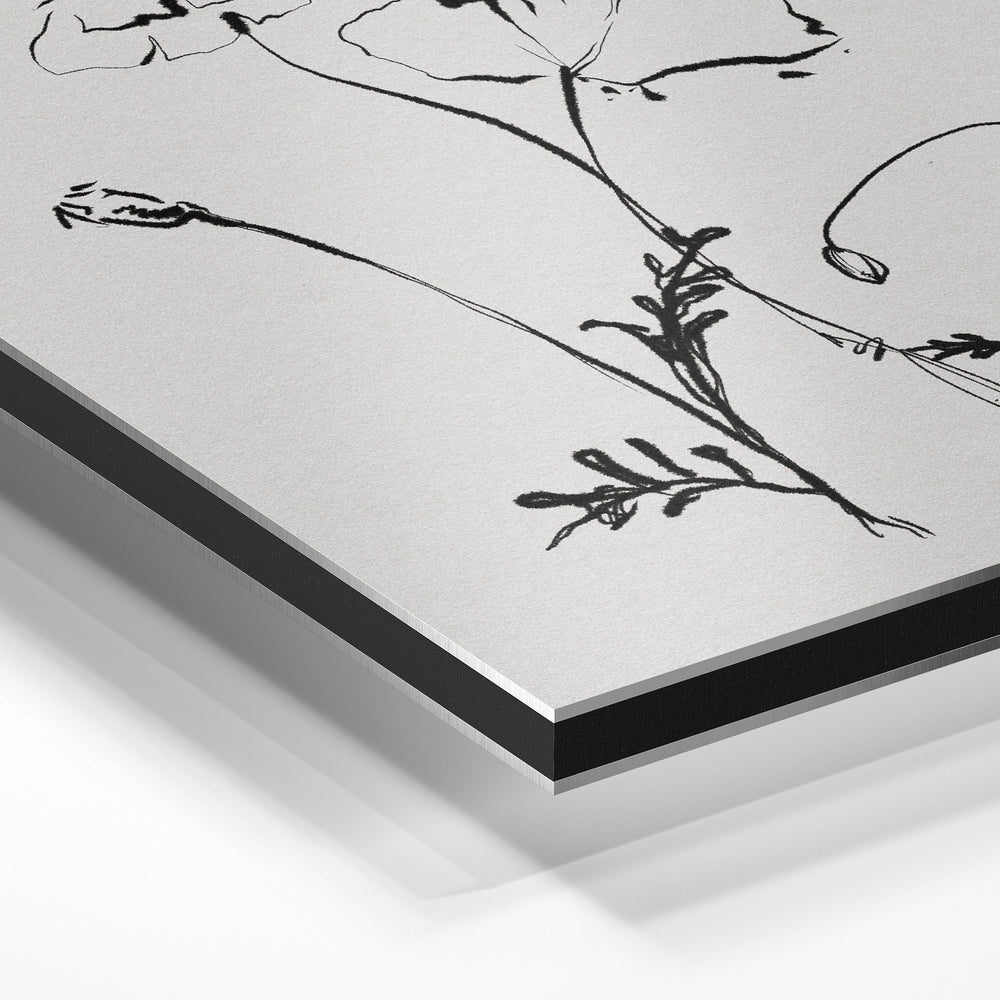 Gros plan de la matière : le tirage contrecollé sur aluminium Dibond mat, tranche visible.