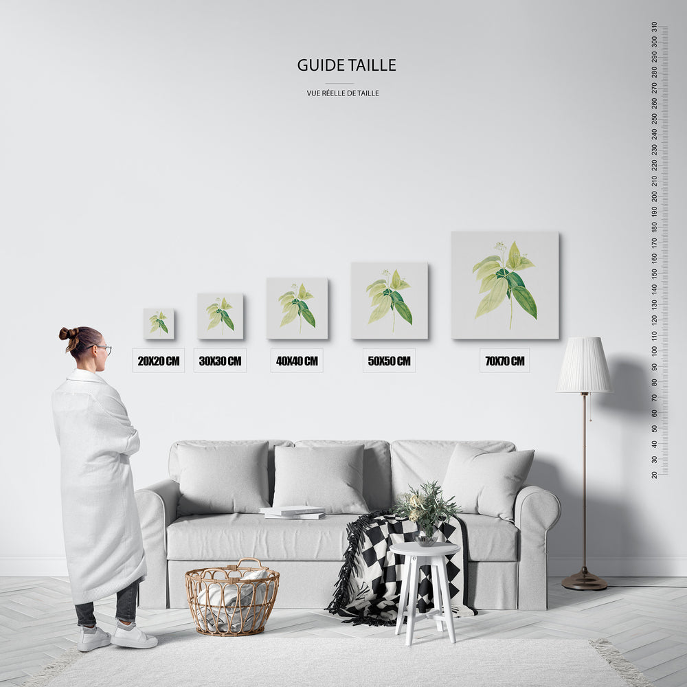 Le tableau, vue guide_taille.