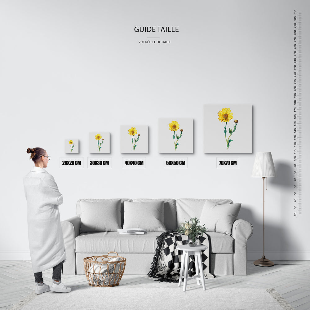 Le tableau, vue guide_taille.