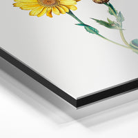 Gros plan du relief : la surépaisseur d'encre en lumière rasante sur aluminium Dibond.