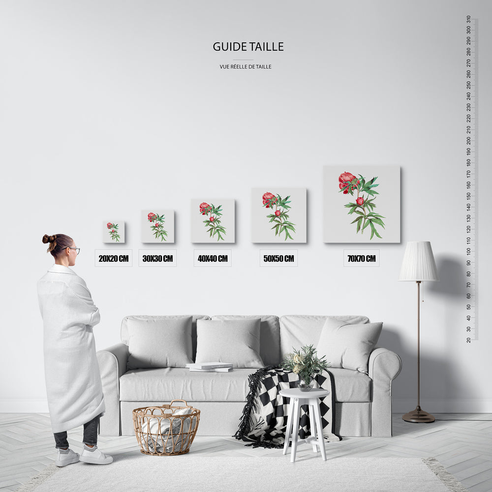 Le tableau, vue guide_taille.