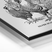 Gros plan de la matière : le tirage contrecollé sur aluminium Dibond mat, tranche visible.