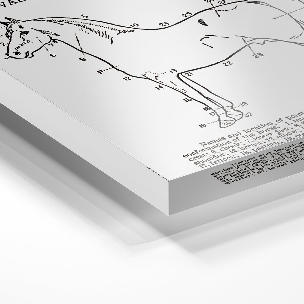 Gros plan de la matière : le tirage sous verre acrylique, tranche transparente visible.