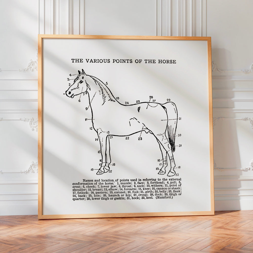 Le tableau accroché en situation dans un intérieur meublé.