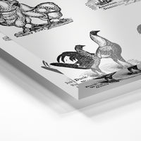 Gros plan de la matière : le tirage sous verre acrylique, tranche transparente visible.