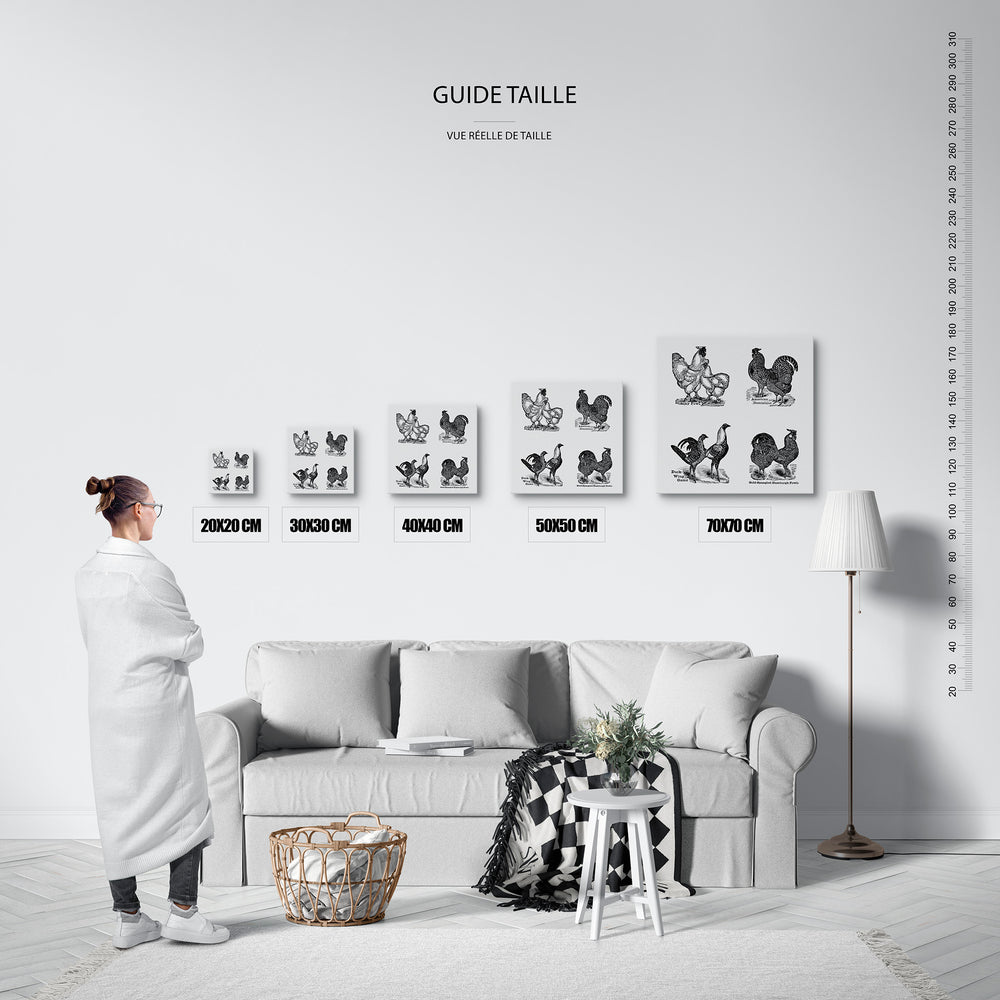Le tableau, vue guide_taille.