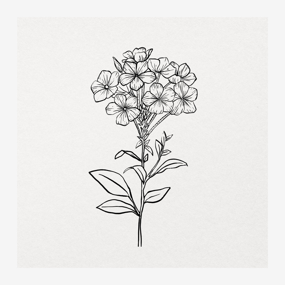 Dessin au trait d'une fleur à pétales ronds groupés, avec une tige fine et des feuilles pointues, sur fond beige très pâle.