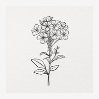 Dessin au trait d'une fleur à pétales ronds groupés, avec une tige fine et des feuilles pointues, sur fond beige très pâle.