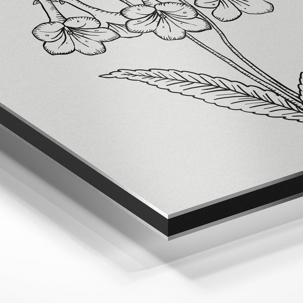 Fleur clochette en noir et blanc, style line art — Aluminium Dibond