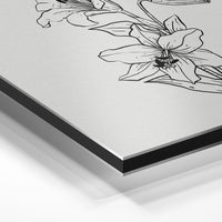 Gros plan de la matière : le tirage contrecollé sur aluminium Dibond mat, tranche visible.