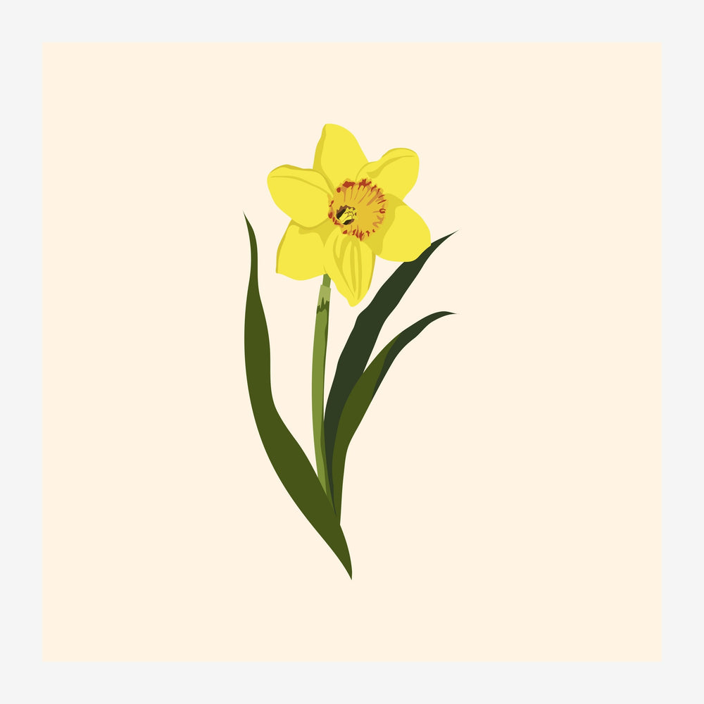 Une jonquille jaune avec couronne rouge sur fond beige, accompagnée de deux feuilles vert foncé.