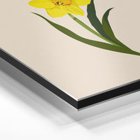 Gros plan de la matière : le tirage contrecollé sur aluminium Dibond mat, tranche visible.