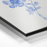 Gros plan de la matière : le tirage contrecollé sur aluminium Dibond mat, tranche visible.