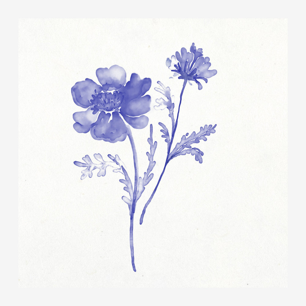 Illustration en style aquarelle d'une fleur violette à pétales doubles accompagnée d'une fleur secondaire plus petite, avec.