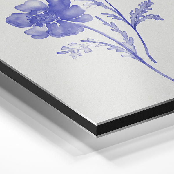 Fleur violette et boutons, illustration botanique — Aluminium Dibond
