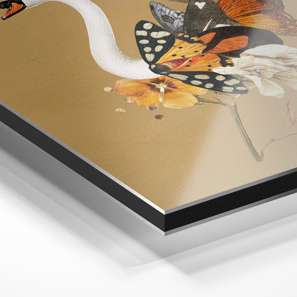 Cygne blanc et papillons, style botanique — Aluminium Dibond relief 3D
