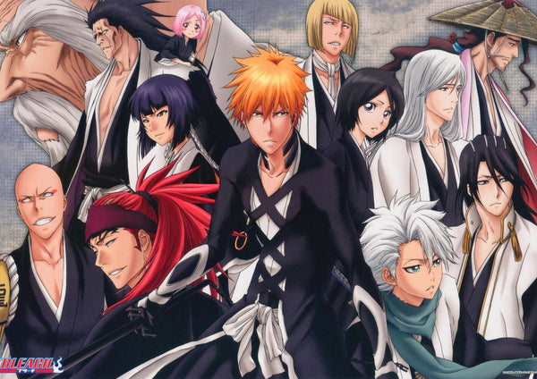 Tableau Bleach Groupe Guerriers Shinigami