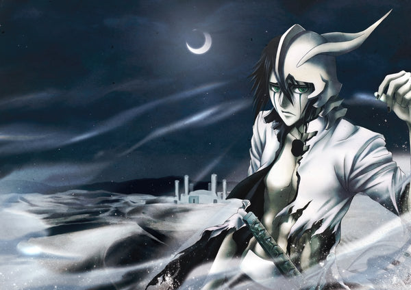 Tableau Bleach Guerrier Masque Nocturne