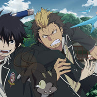 Tableau Blue Exorcist Combat Scolaire Magique