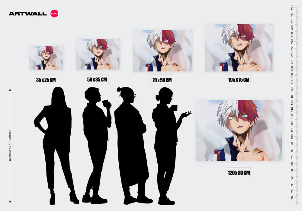 Tableau Boku No Hero Cheveux Bicolores Ardents