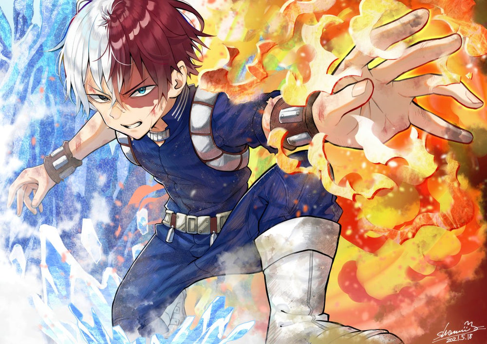Tableau Boku No Hero Glace Et Feu