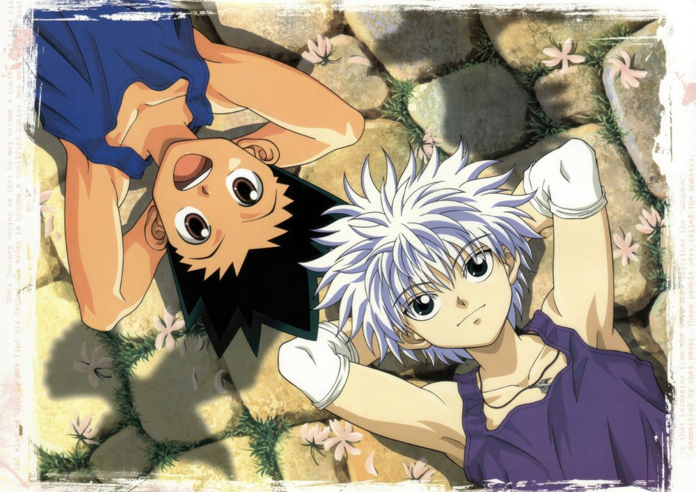 Tableau Hunter X Hunter Amis Relaxant Dehors