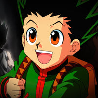 Tableau Hunter X Hunter Garcon Aventureux Courageux