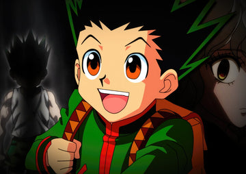 Tableau Hunter X Hunter Garcon Aventureux Courageux