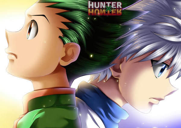 Tableau Hunter X Hunter Jeunes Aventuriers Opposes