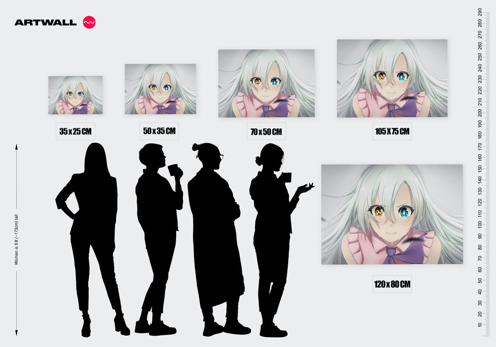Tableau Nanatsu No Taizai Cheveux Argentes Emotion