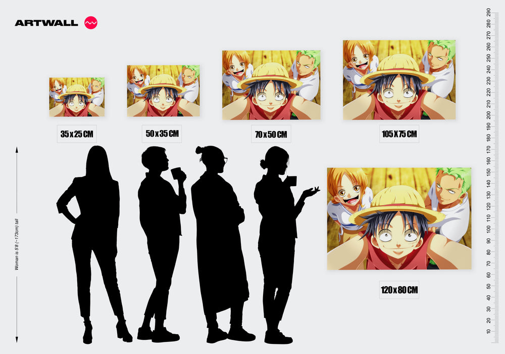 Tableau One Piece Chapeau Et Sourires