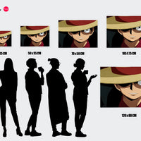 Tableau One Piece Chapeau Mysterieux