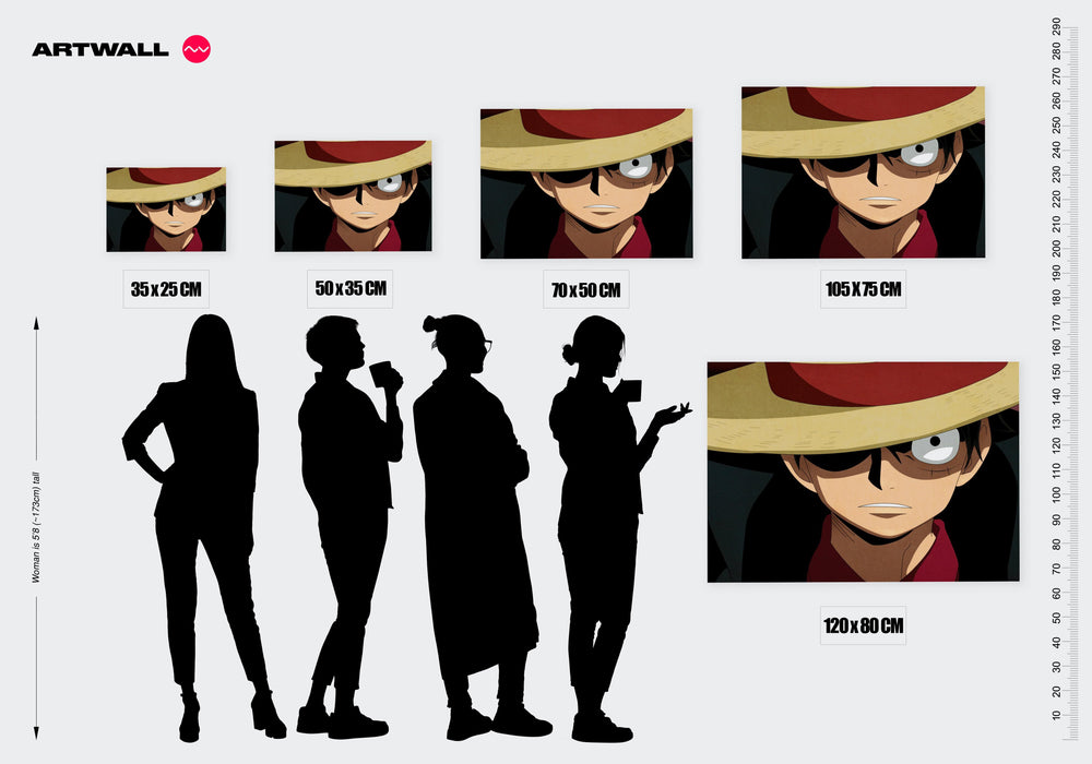 Tableau One Piece Chapeau Mysterieux
