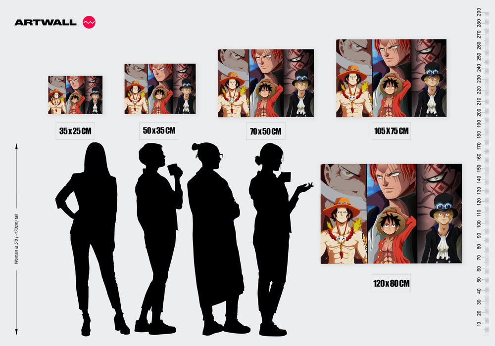 Tableau One Piece Freres Et Mentors