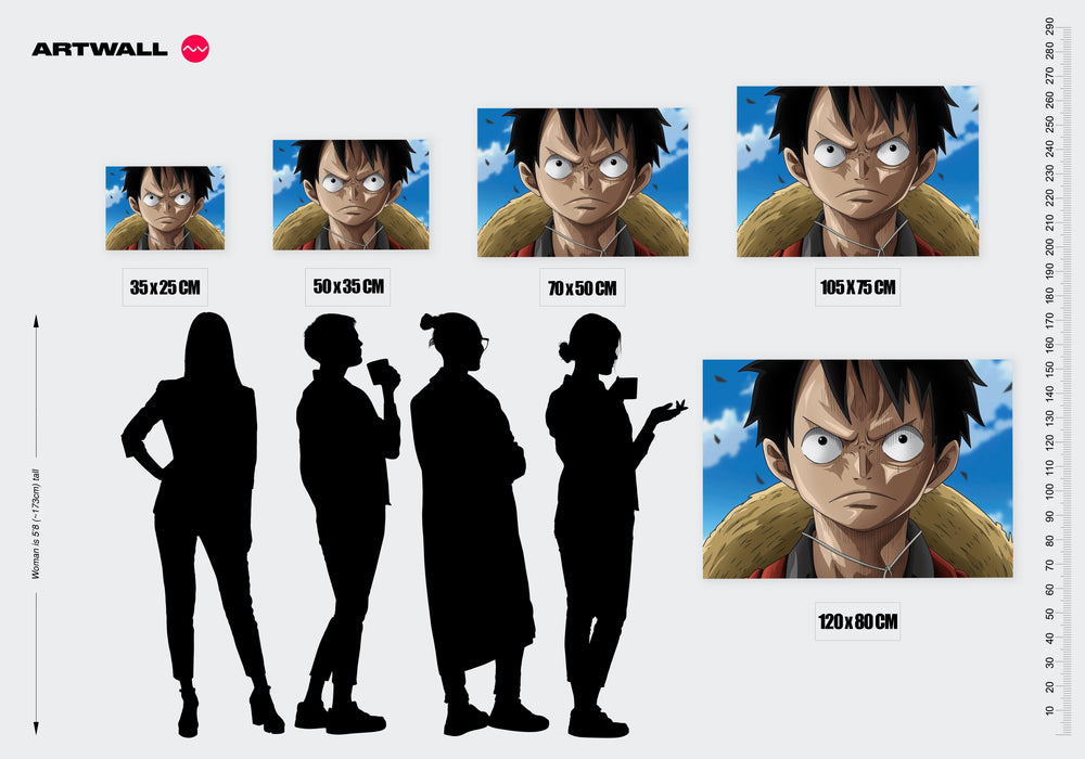 Tableau One Piece Heros Determine Ciel