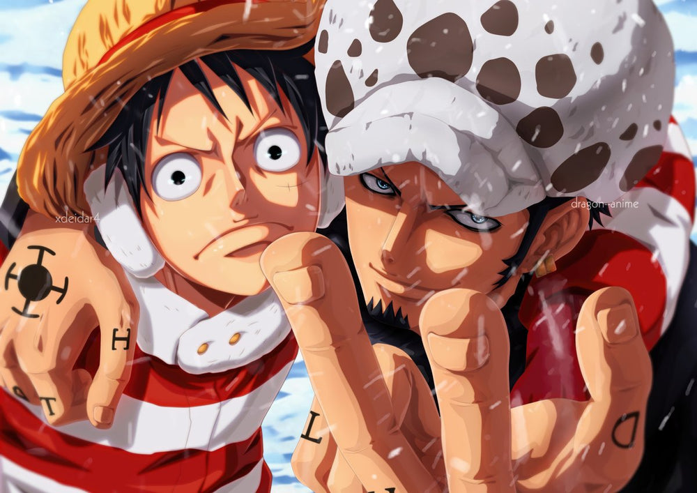 Tableau One Piece Personnages Sous La
