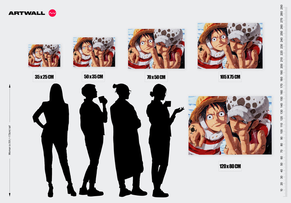Tableau One Piece Personnages Sous La
