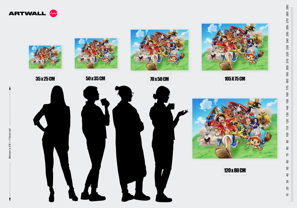 Tableau One Piece Pirates Aventureux Courant