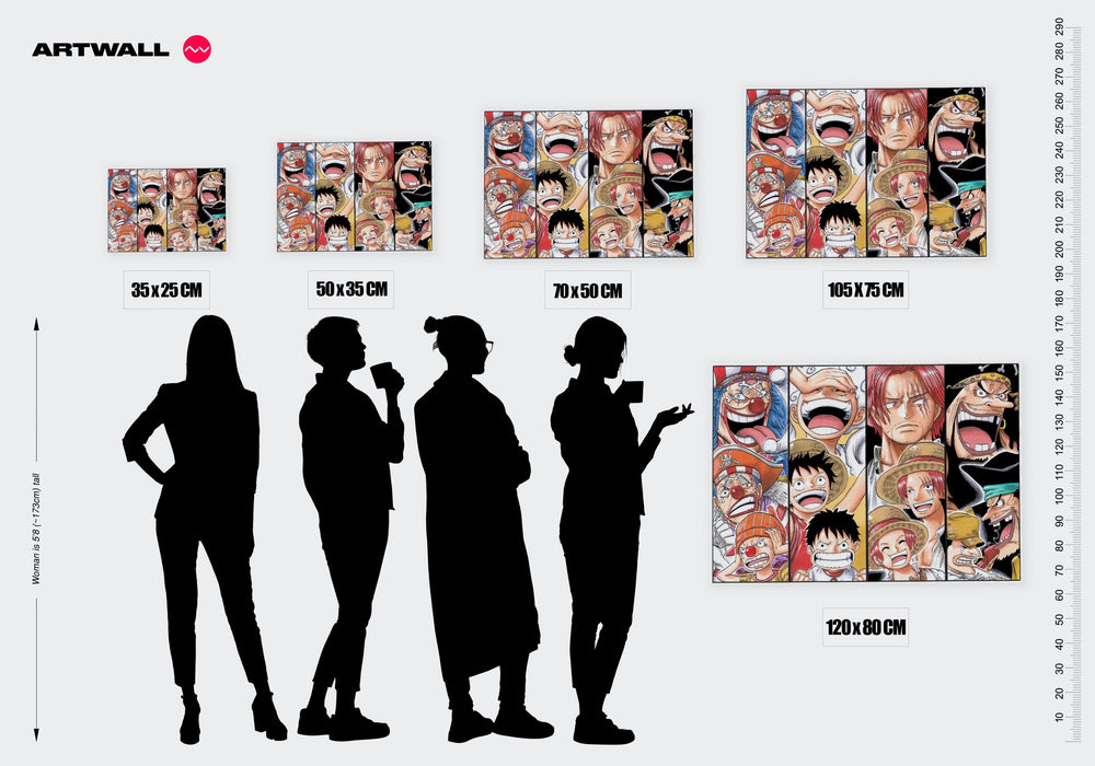 Tableau One Piece Pirates Sourires Varies