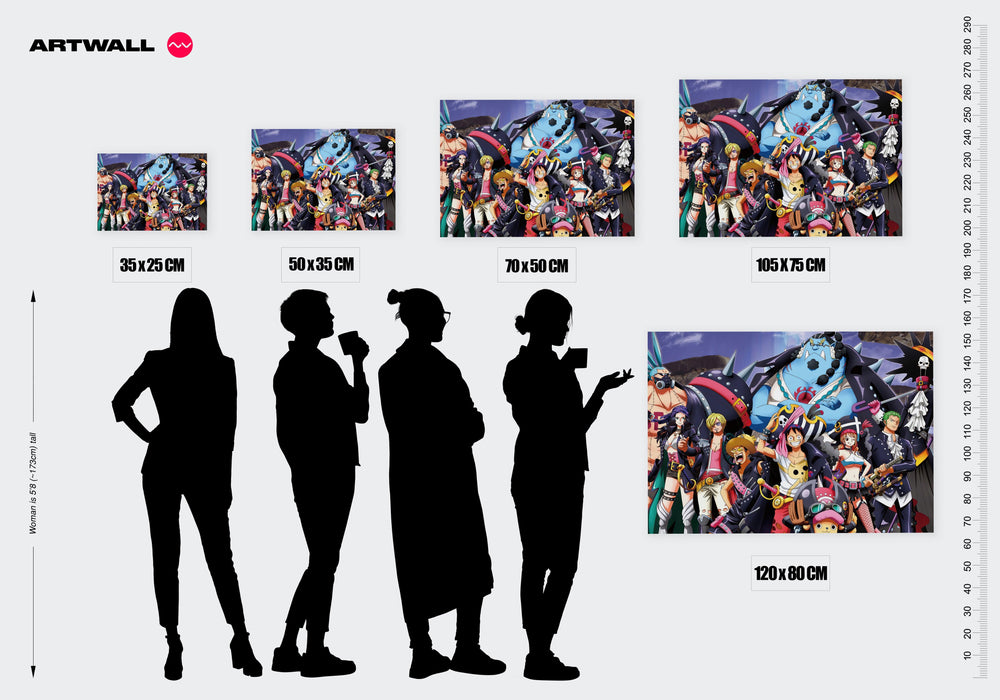 Tableau One Piece Pirates Unis Ensemble