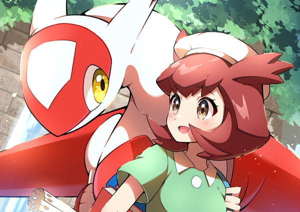 Tableau Pokemon Complicite Envolante