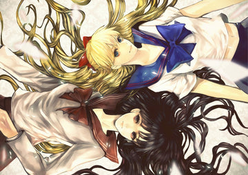 Tableau Sailor Moon Cheveux Entrelaces Duo