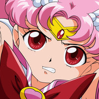 Tableau Sailor Moon Guerriere Determinee Roses