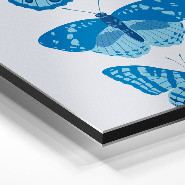 Trois papillons bleu indigo, style minimaliste — Aluminium Dibond