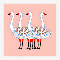 Quatre cygnes aux cous blancs et têtes rouge et noir sur un fond rose poudré, illustration graphique.