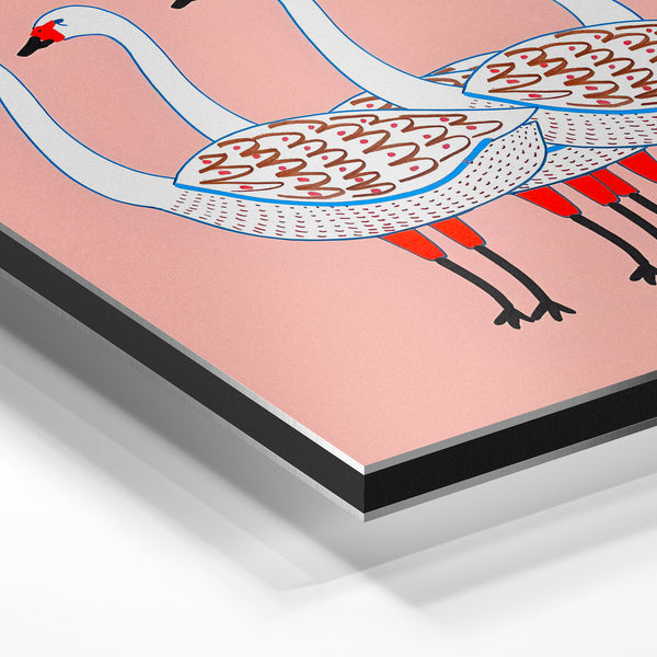 Quatre cygnes rose bonbon et blanc, illustration — Aluminium Dibond