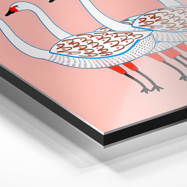 Quatre cygnes rose bonbon et blanc, illustration — Aluminium Dibond relief 3D